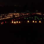 春日野園地